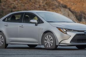 Toyota Corolla car