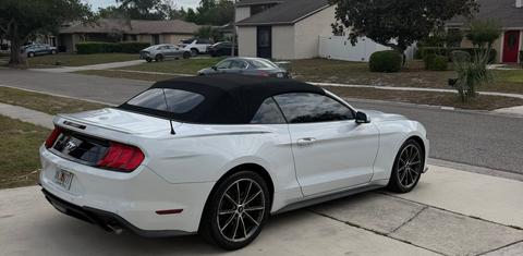 Ford Mustang 2019