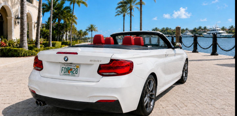 BMW 2 Series 2019