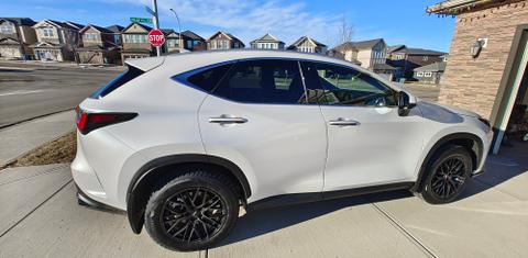 Lexus NX 2024
