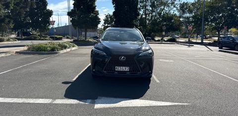 Lexus NX350h 2024