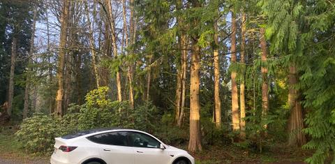 Tesla Model Y 2022