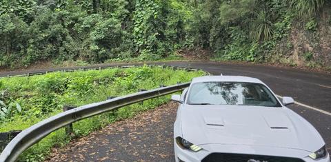 Ford Mustang 2021
