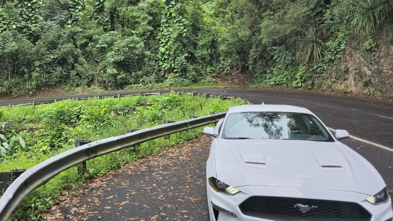 Ford Mustang 2021 in 