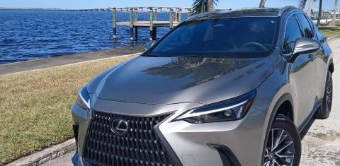 Lexus NX 2023