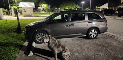 Honda Odyssey 2014
