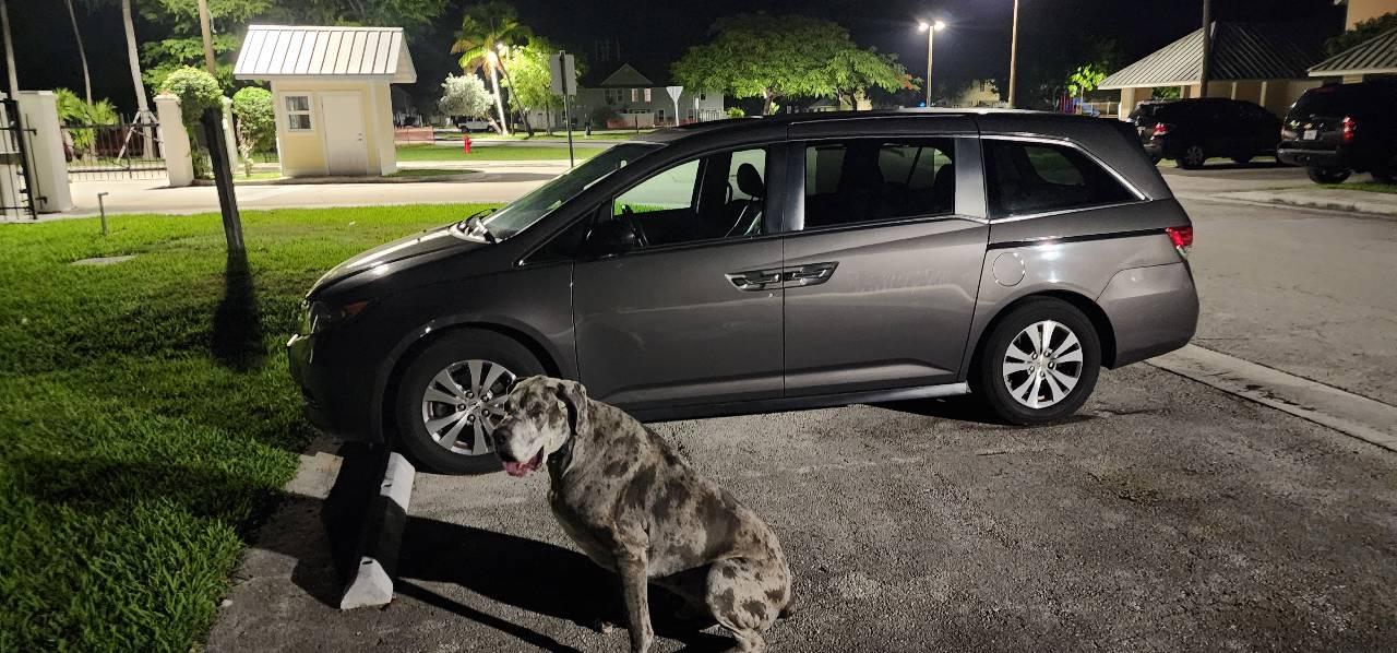 Honda Odyssey 2014 in 