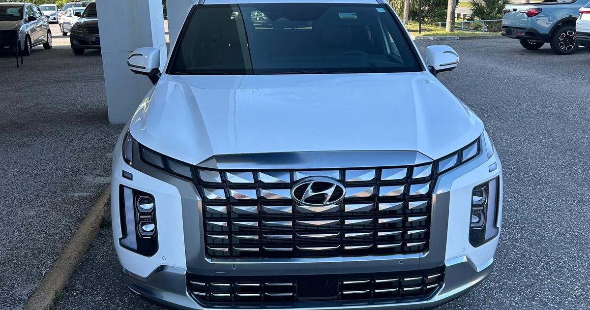 Hyundai Palisade 2023 rental in Duluth, GA by Ashley B. Turo
