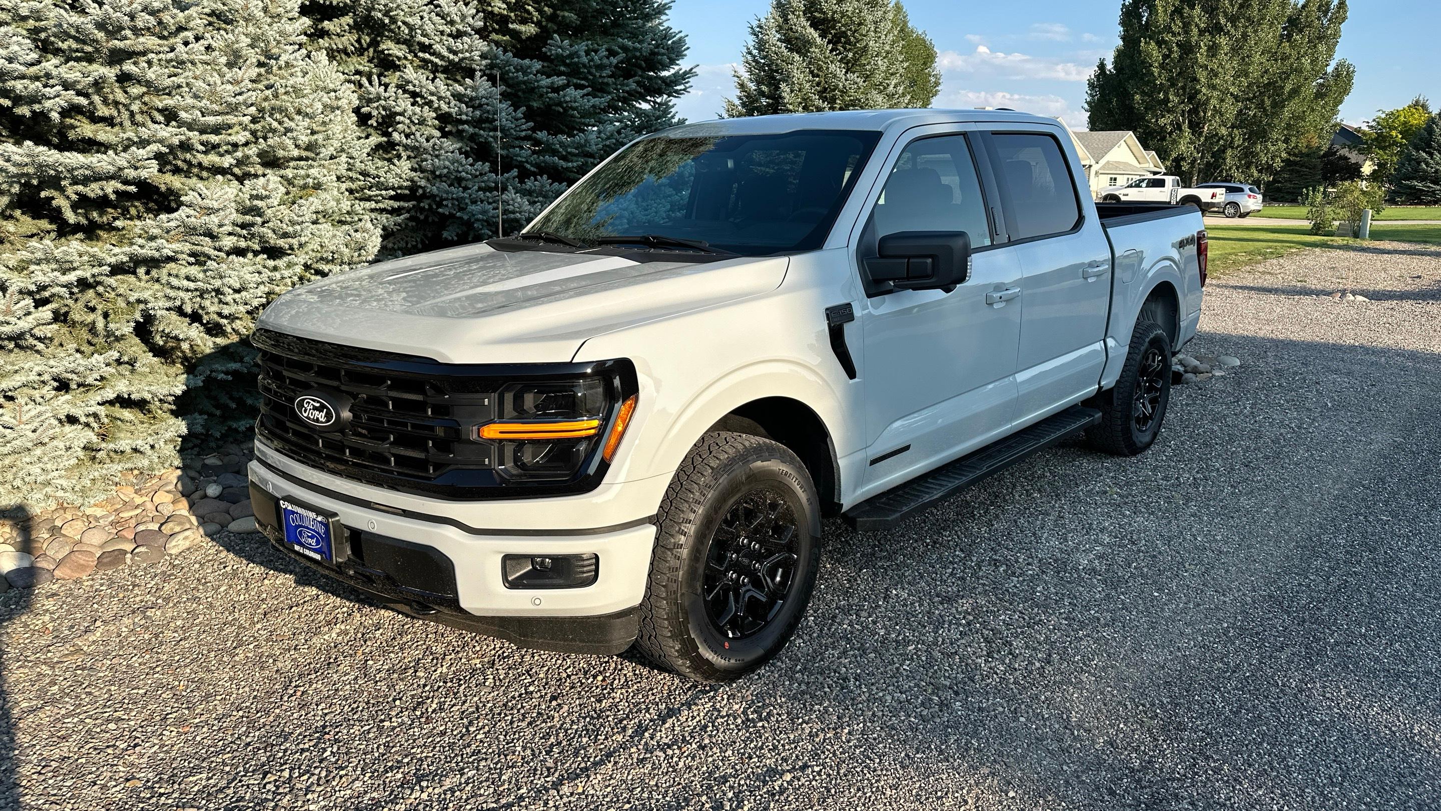 Ford F-150 2024 in Montrose, CO