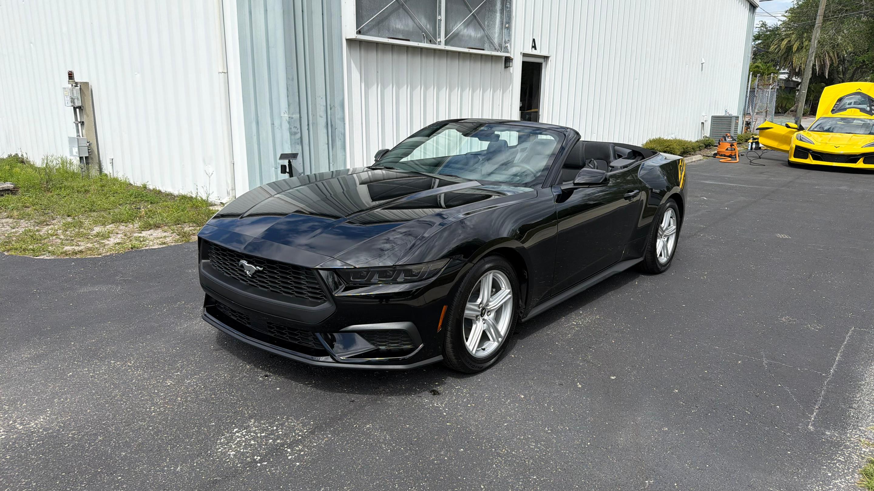 Ford Mustang 2026 in Clearwater, FL