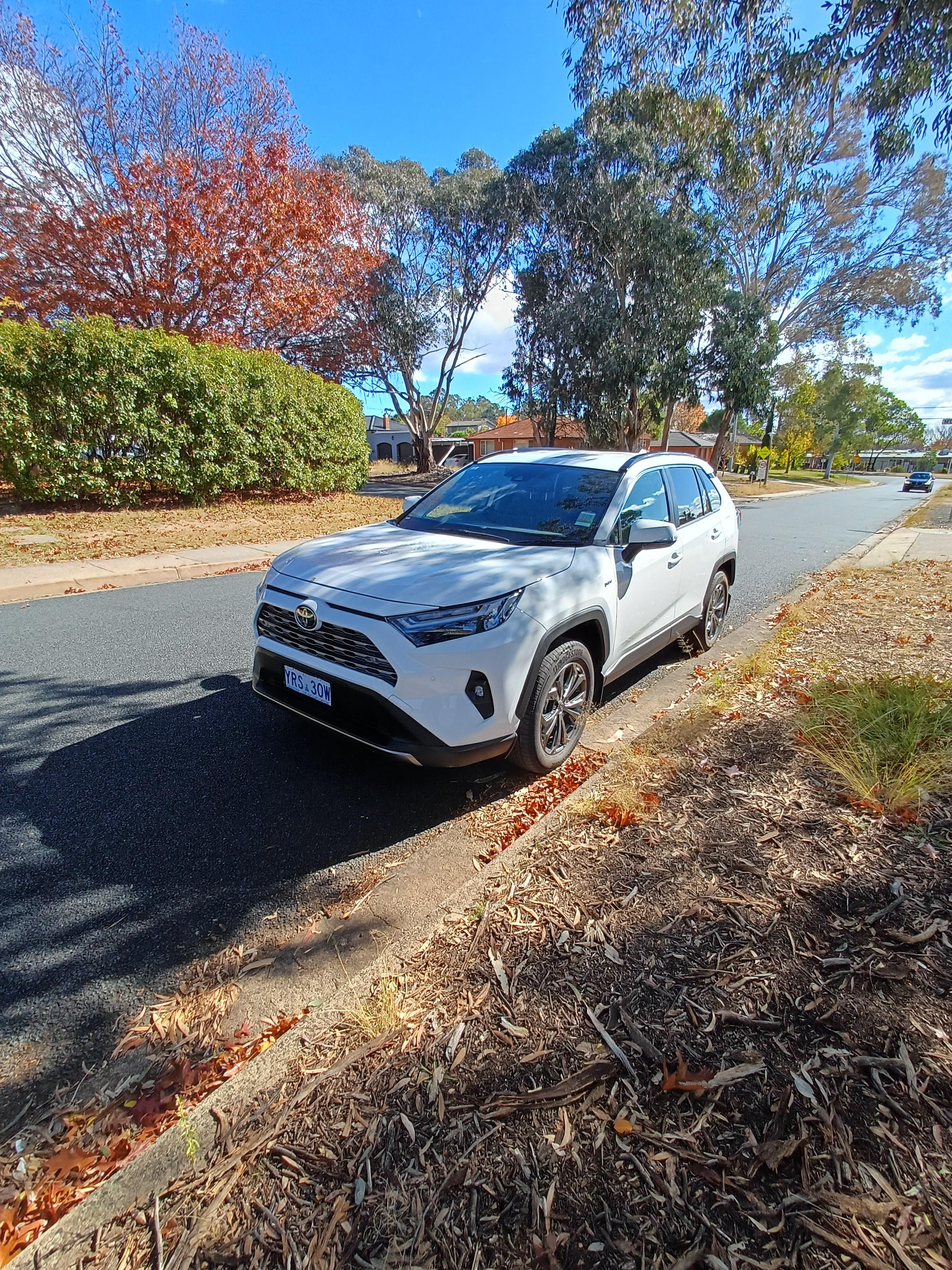 Toyota RAV4 2025 in Torrens