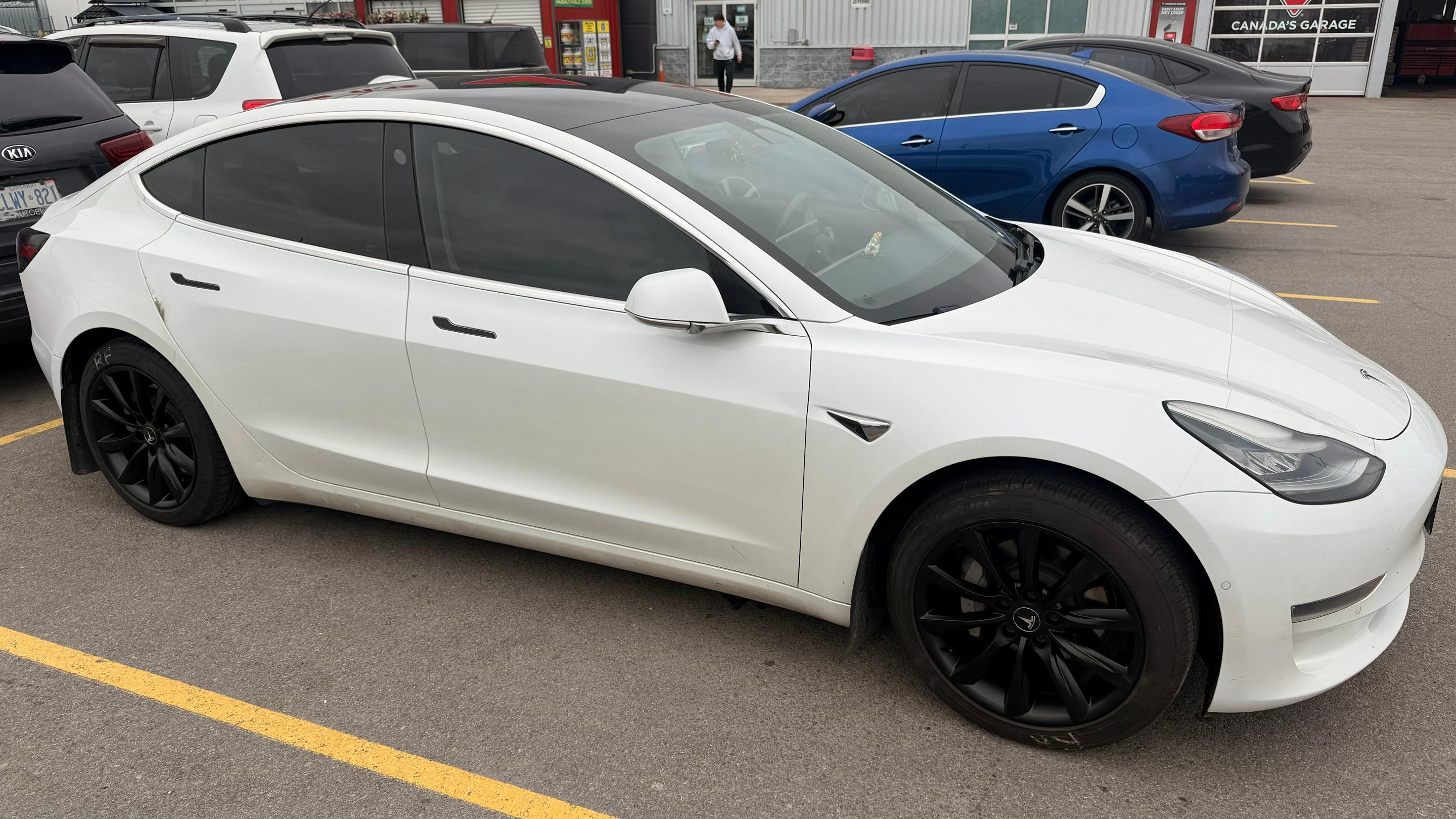 Tesla Model 3 2019 in Caledonia, ON