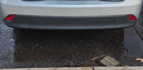 Toyota Prius 2019