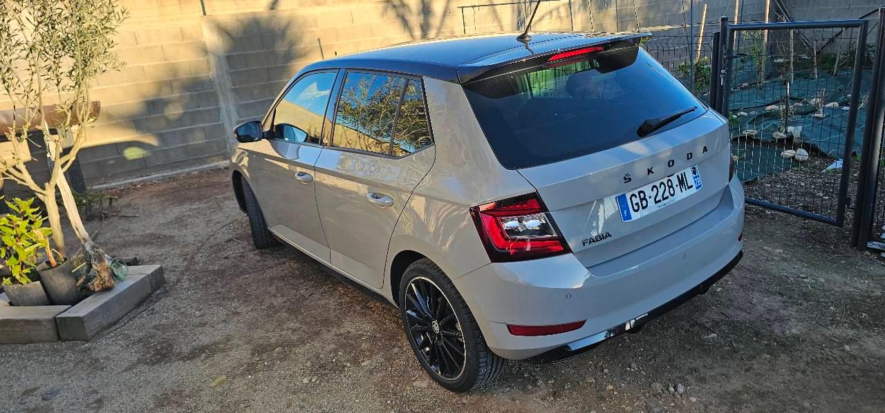 Skoda FABIA 2021 à Lucciana