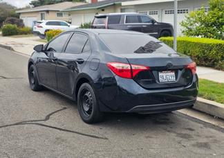 Toyota Corolla car