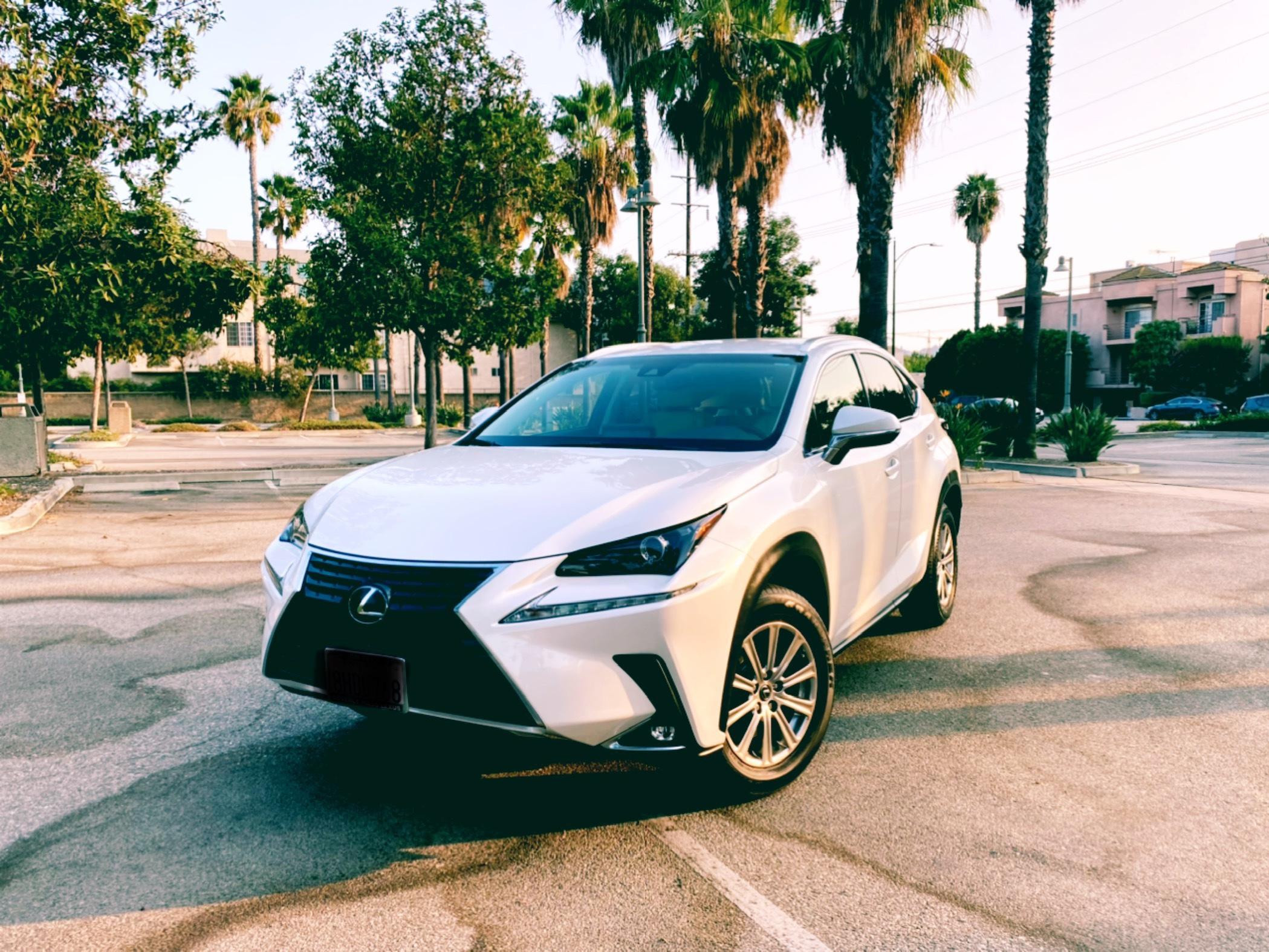 Lexus NX 2019 in 