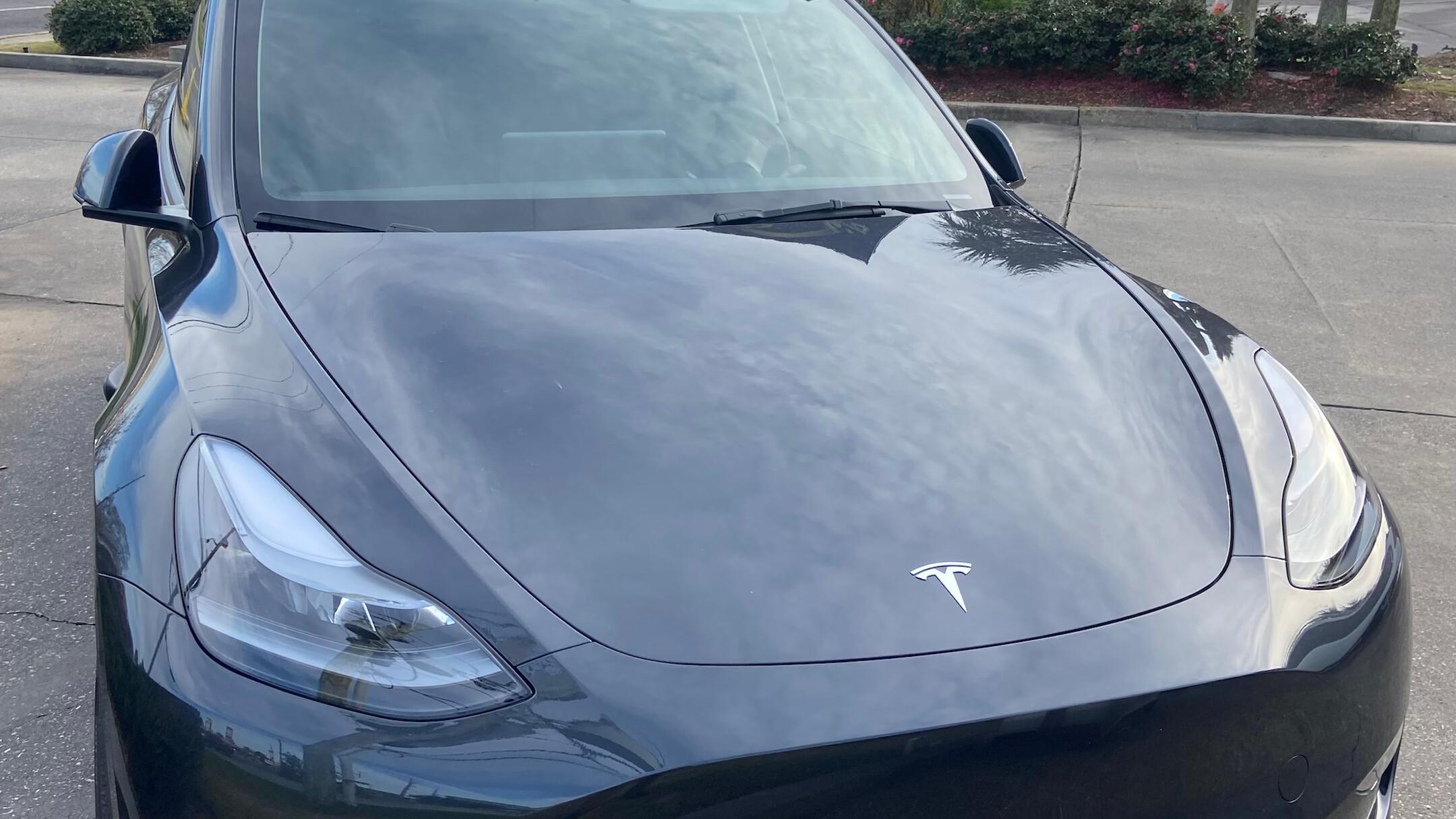 Tesla Model Y 2025 in Metairie, LA