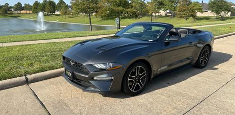 Ford Mustang 2019