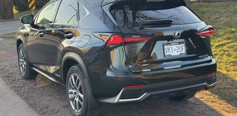 Lexus NX 2020