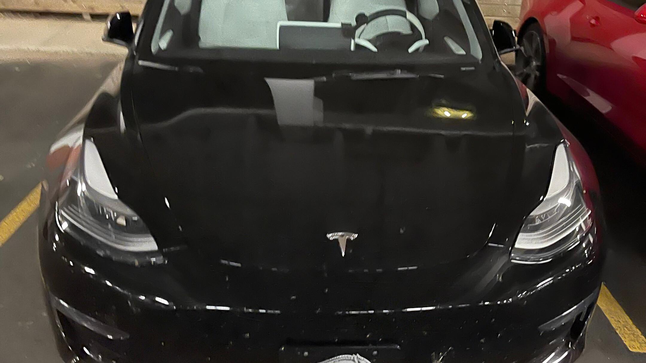 Tesla Model 3 2023 rental in Little Rock, AR by Victor F. | Turo