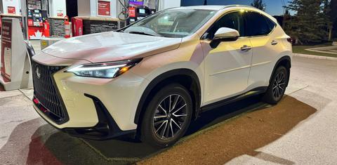 Lexus NX 2024