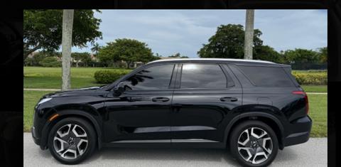Hyundai Palisade 2024
