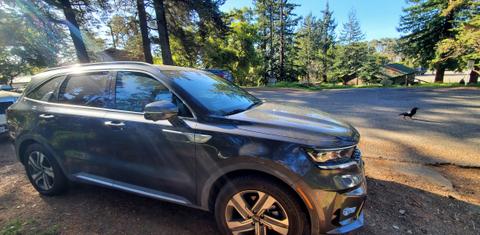 Kia Sorento Plug-In Hybrid 2022