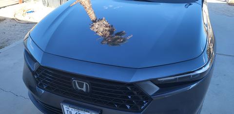 Honda Accord 2025