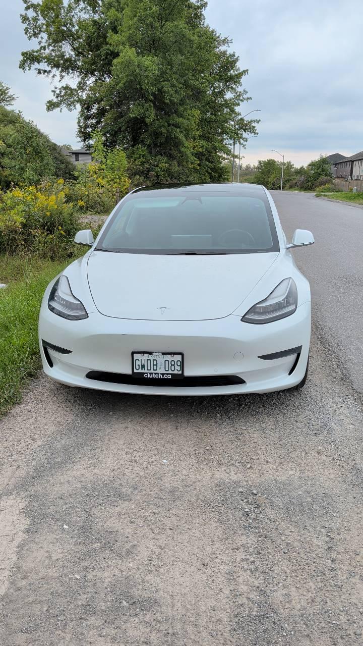 Tesla Model 3 2020 à Welland, ON