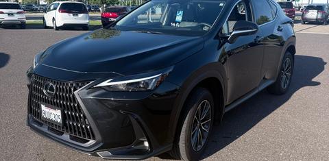 Lexus NX 2025