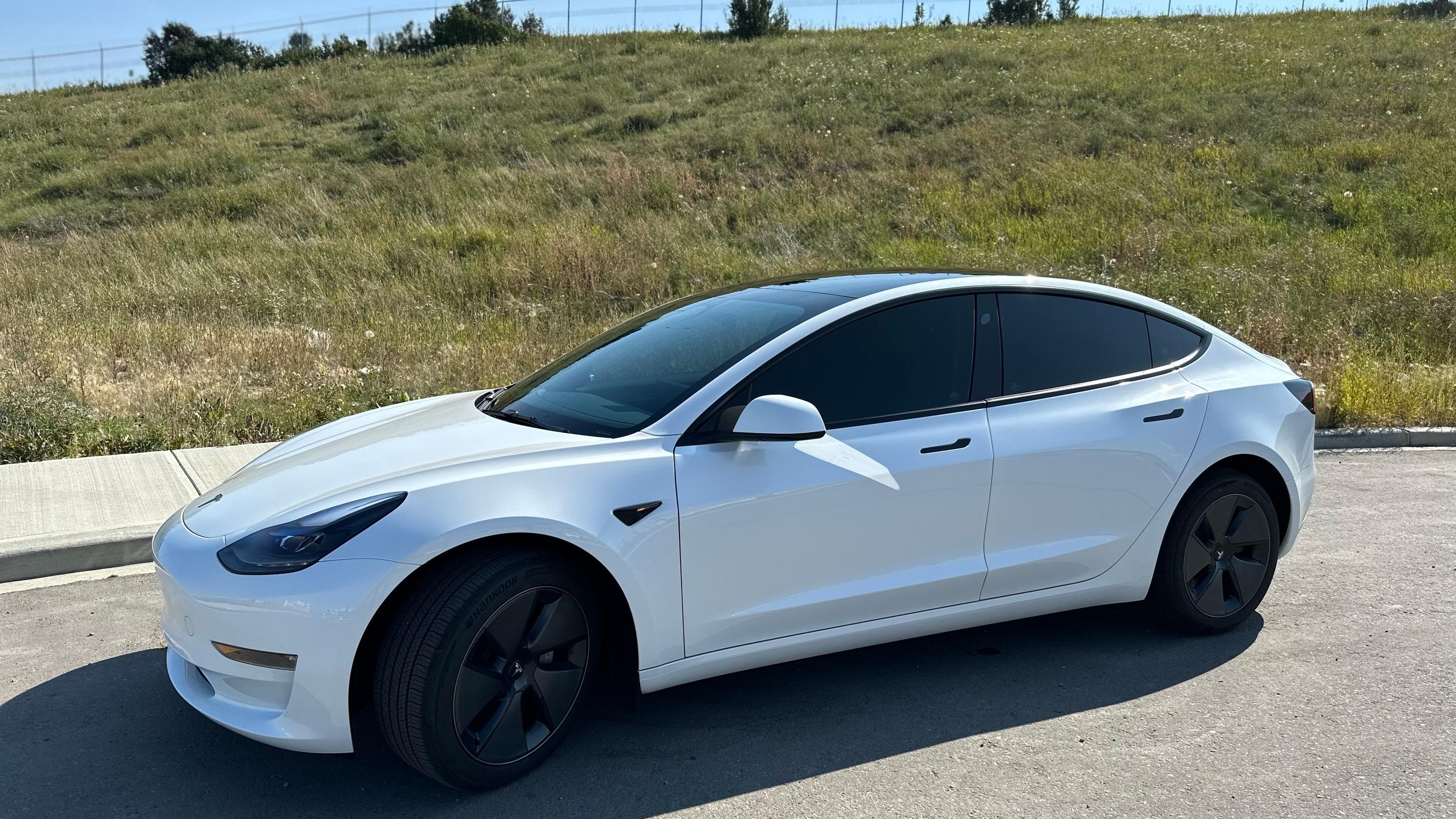Tesla Model 3 2023 à Calgary, AB