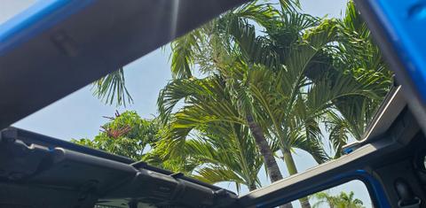 Jeep Wrangler 2024