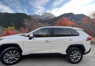 Catégorie de véhicule : Toyota RAV4