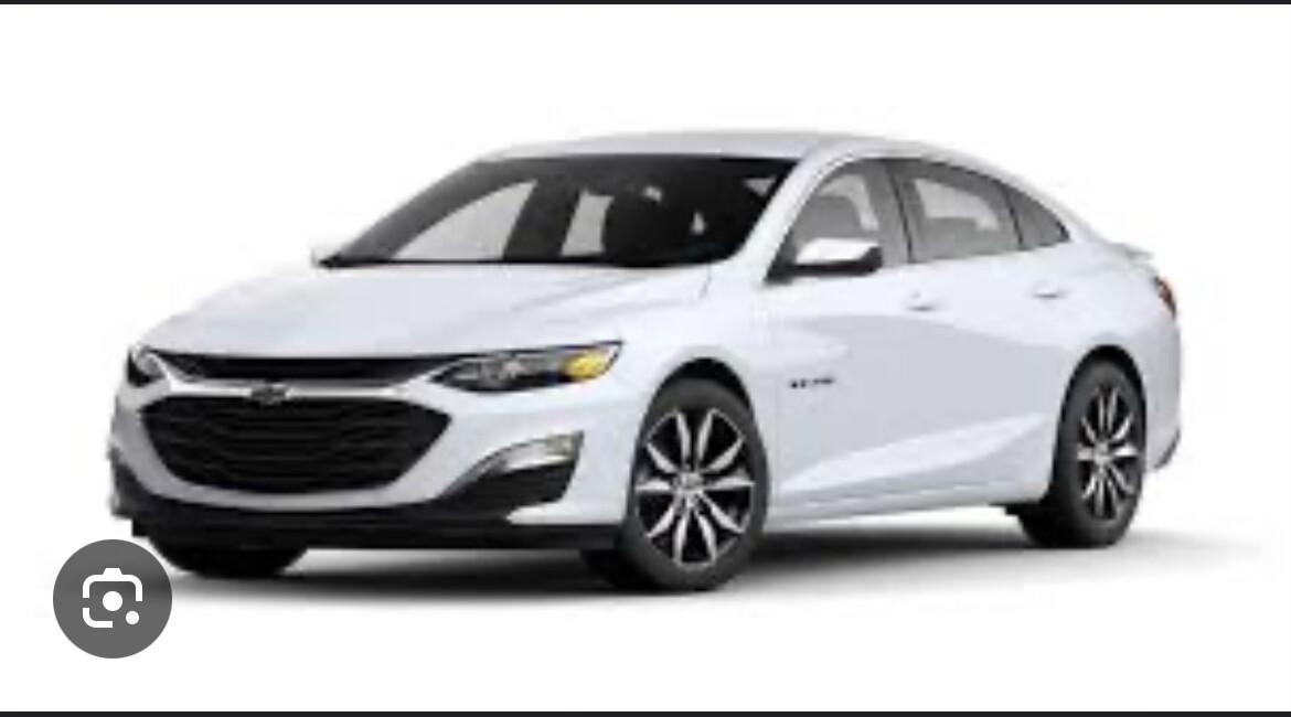 Chevrolet Malibu 2020 in Riverview, FL