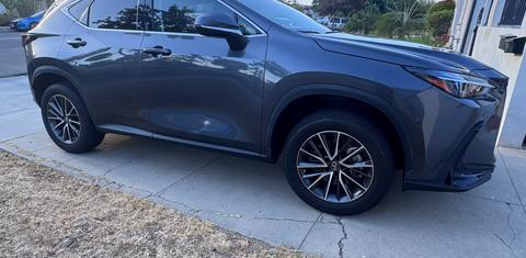 Lexus NX 2022