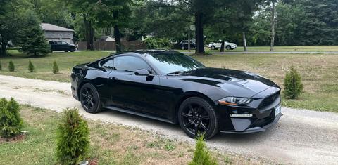 Ford Mustang 2019