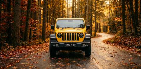 Jeep WRANGLER UNLIMITED 2021