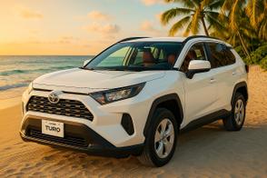 Catégorie de véhicule : Toyota RAV4