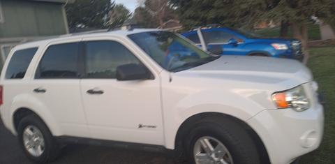 Ford Escape 2009