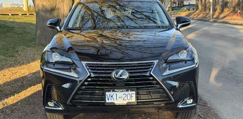 Lexus NX 2020