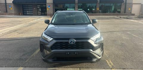 Toyota RAV4 Hybrid 2024