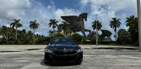 BMW 8 Series Gran Coupe 2020