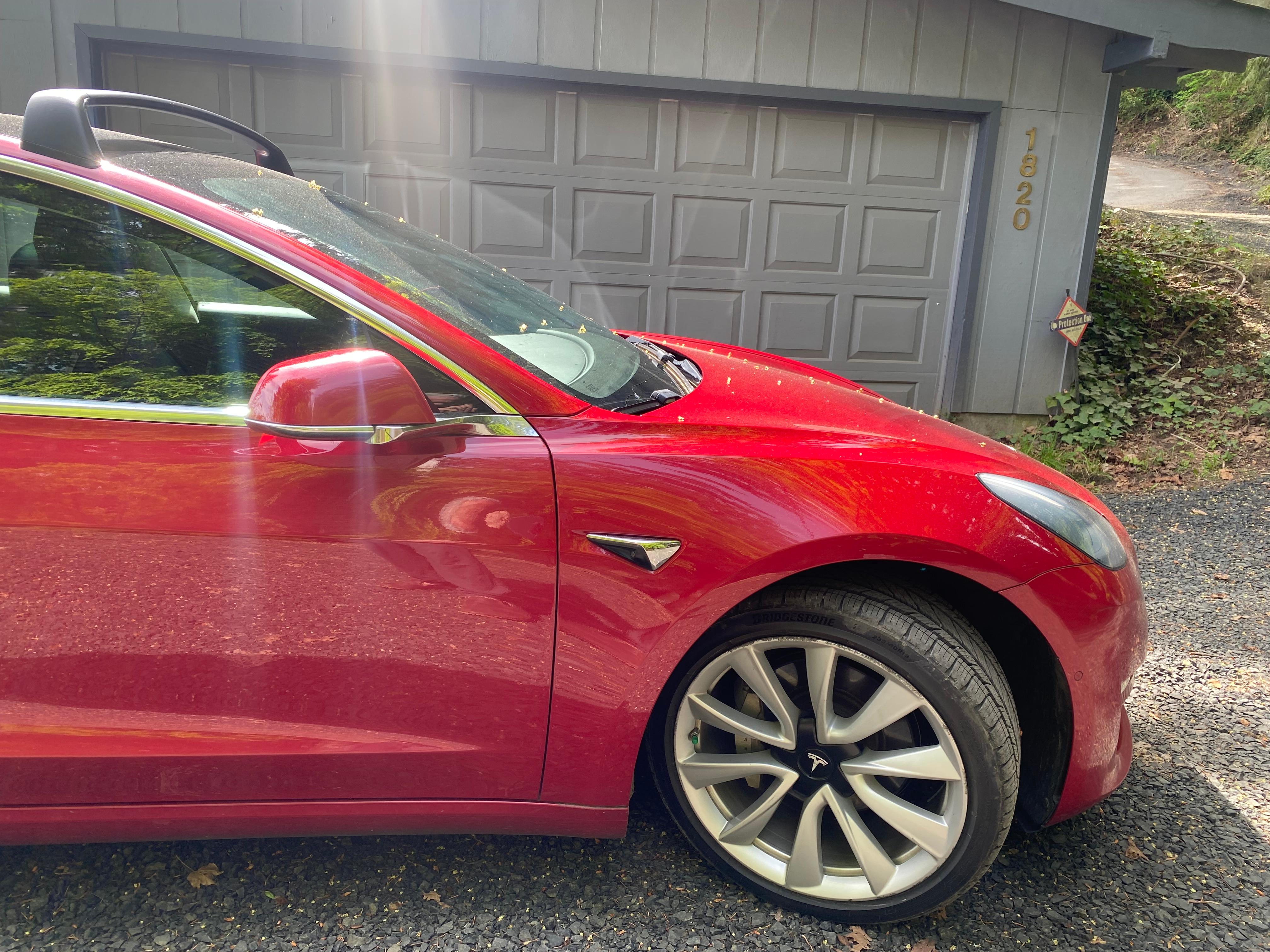 Tesla Model 3 2019 in Olympia, WA