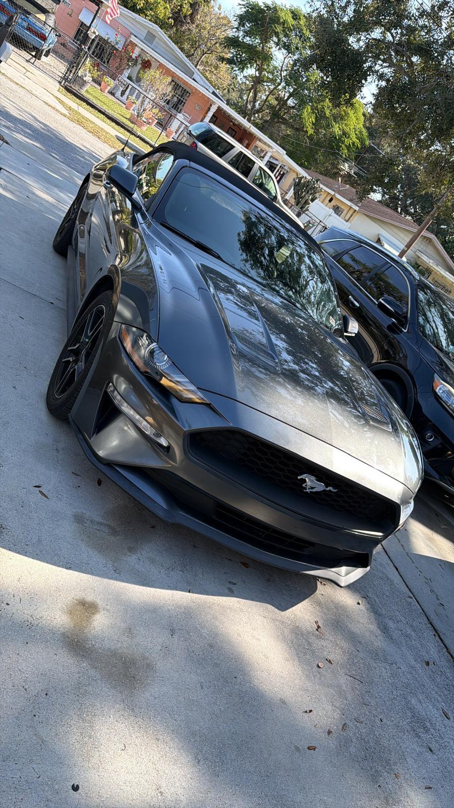 Ford Mustang 2019 in Tampa, FL