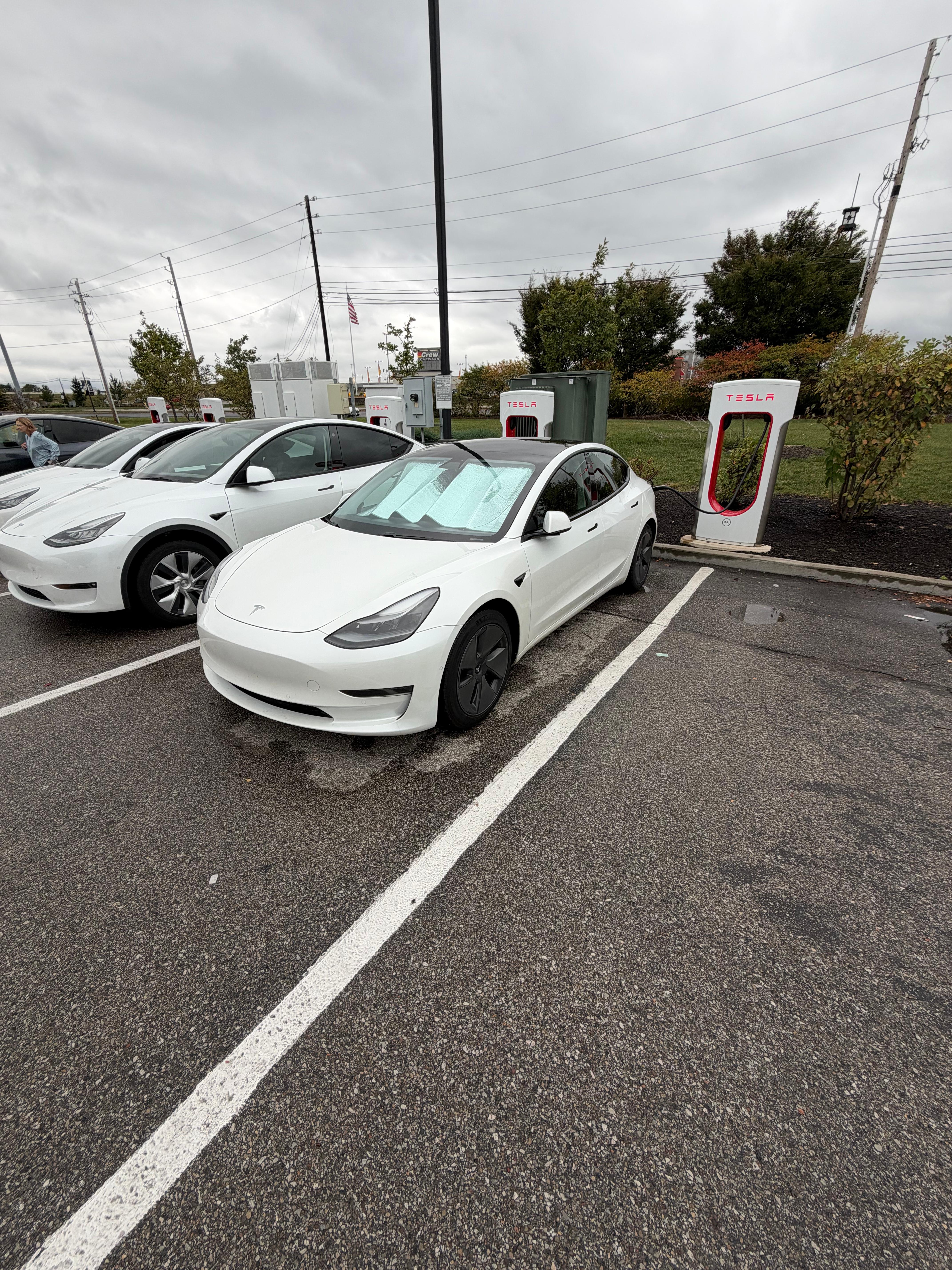 Tesla Model 3 2021 in Indianapolis, IN