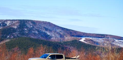 Toyota Tacoma 2017