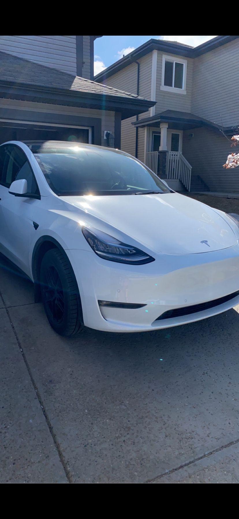 Tesla Model Y 2022 à Edmonton, AB