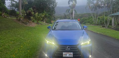 Lexus NX 2025
