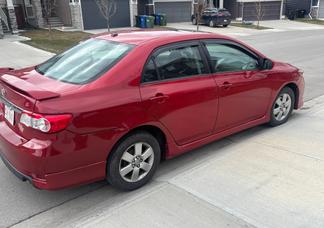 Toyota Corolla car