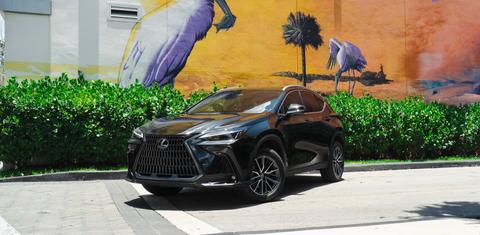 Lexus NX 2025
